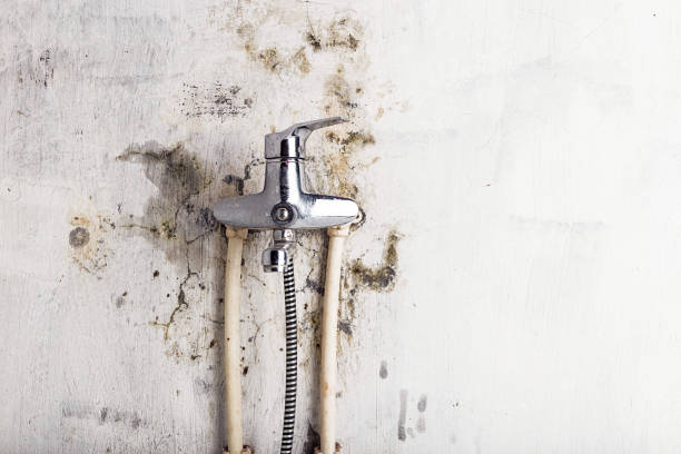 Best Commercial Mold Remediation in Southside Place, TX