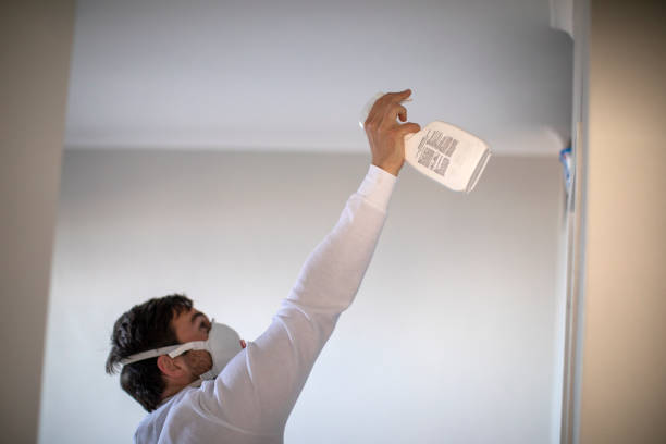 Best Black Mold Remediation in Southside Place, TX