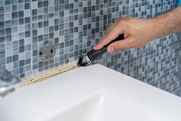 Best Mold Remediation for Schools in Southside Place, TX